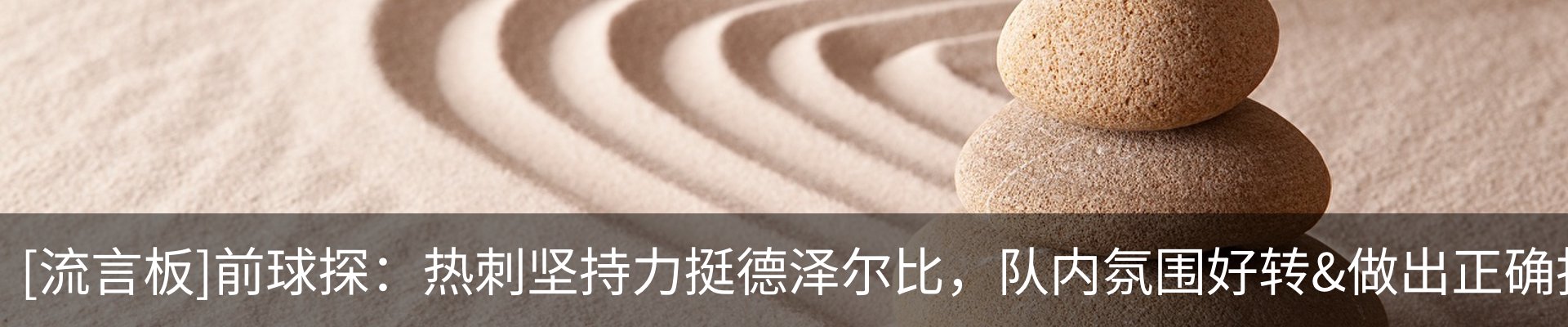 最新动态
